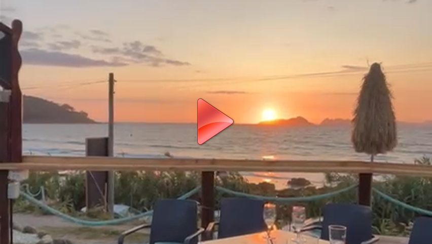 Miniatura del vídeo